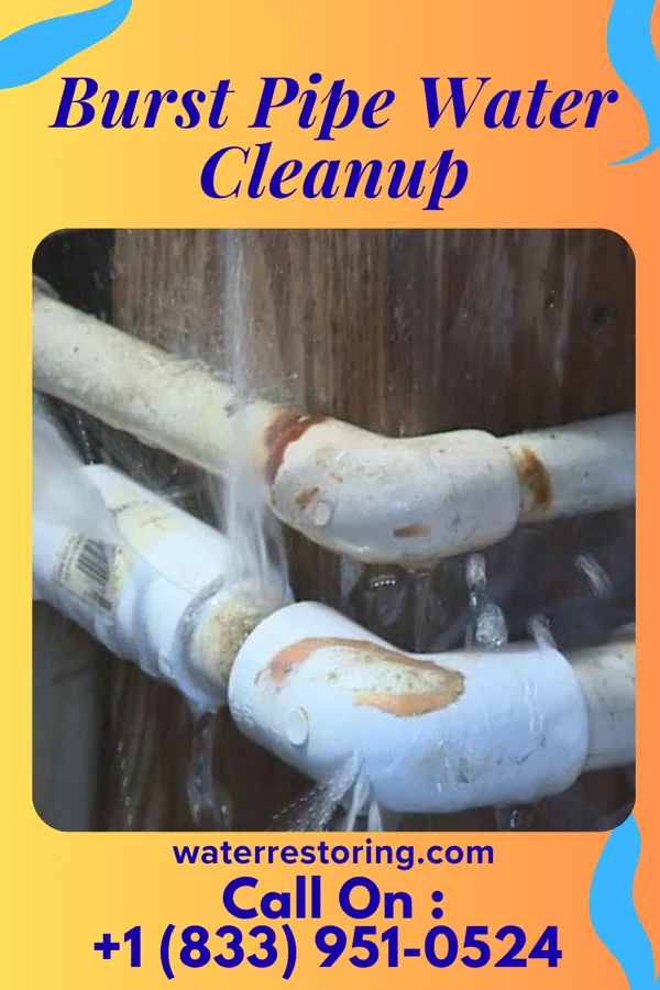Burst Pipe Water Cleanup in Lakeland, MN