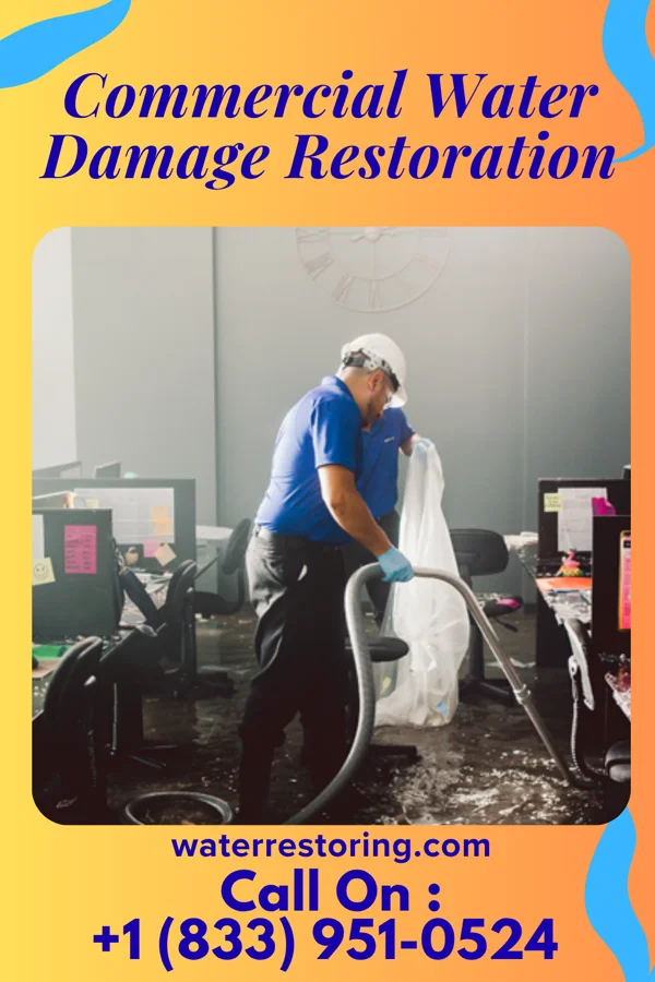 Commercial Water Damage Restoration in Lakeland, MN