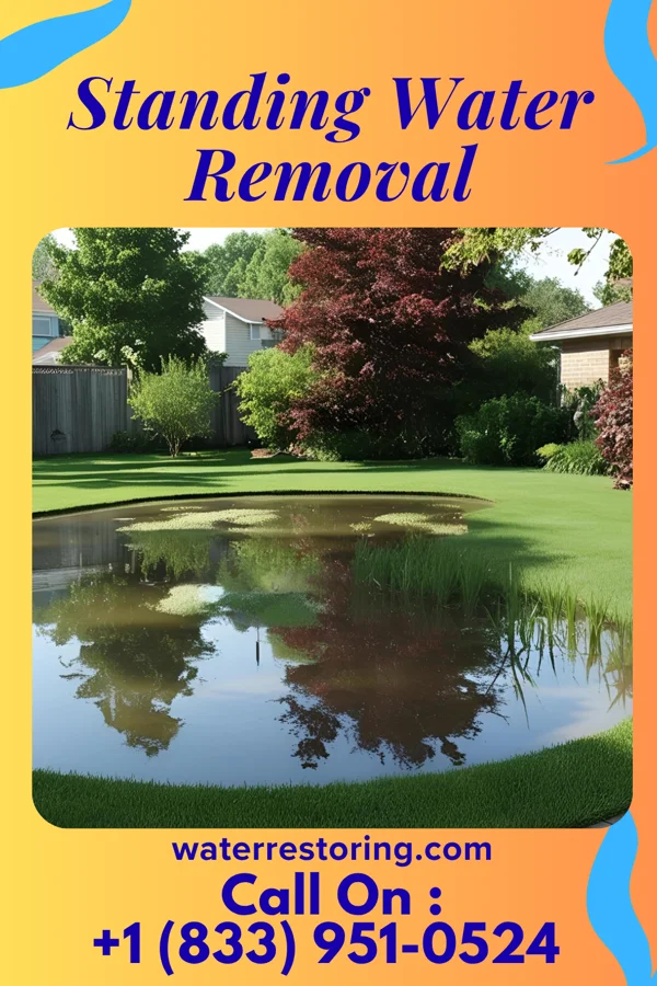 Standing Water Removal in Lakeland, MN